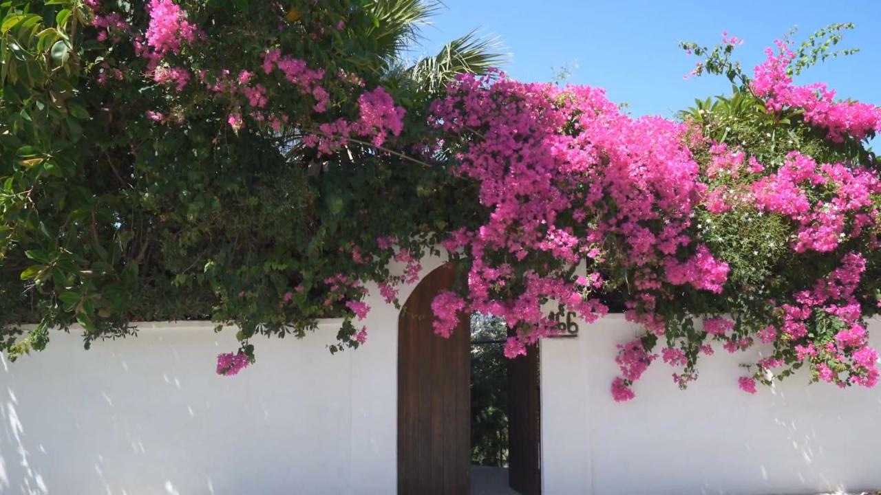 Alexiszorba Villa Plaka  Exterior foto